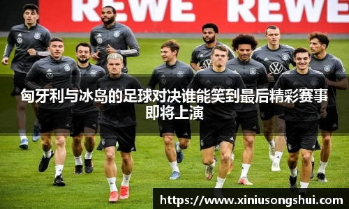 匈牙利与冰岛的足球对决谁能笑到最后精彩赛事即将上演